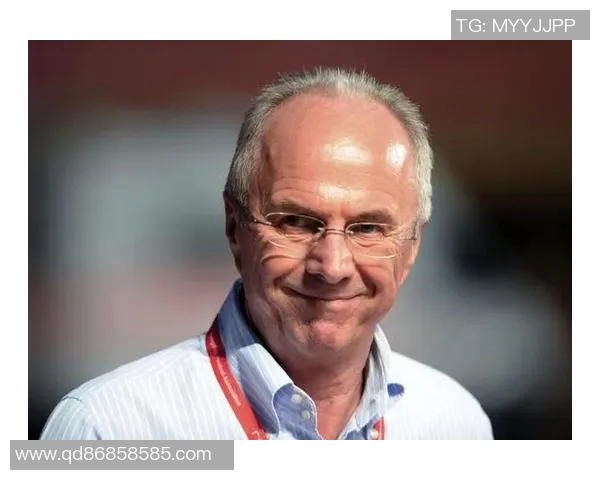 瑞典足球明星有哪些他们的成就与影响力解析 瑞典足球明星有哪些他们的成就与影响力解析