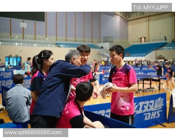 南京乒乓球队耐力变革引发热议助力运动员全面提升竞技水平